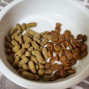 퍼펙트바이트 이미지