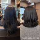 대경크리에이티브 | 일산 미용실 제오헤어 AVEDA 고양지축점에서 레이어드 C컬펌한 후기