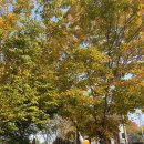 압록유원지 이미지