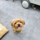 아델동물병원 이미지