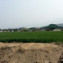 백운영농조합법인