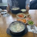 칠칠켄터키(원주단계점) | 일상] 원주에서 먹으며 데이트하기♥️_송학순대국/심야포차1987/칠칠켄터키/엄지스낵/로톤다/꽃밭머리전망대