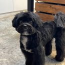 반자주 장산점 이미지