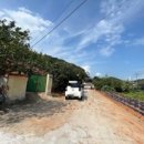 다정한 가 이미지