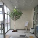 농소초등학교 이미지