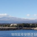 위미 모루왓 이미지