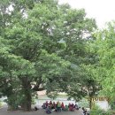 한천가든 이미지