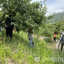 부계면 행정복지센터 이미지