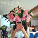 설레임꽃