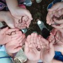 해여울어린이집 이미지