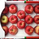 양촌농원 1농장 이미지