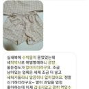 박사 세탁 이미지