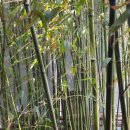 영광온천장 이미지