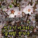 20260509 미식회. Swish MAX4추억 이미지