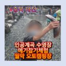 메기의 추억 | 월악오토캠핑장 후기｜자연계곡+인공계곡 수영장, 메기잡기까지! 아이들이 난리난 이유