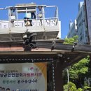 김미옥머리세상