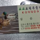 오리랑꼬꼬랑 이미지