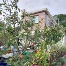 플라워민박 이미지