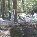 사직공원 유아숲체험원 이미지