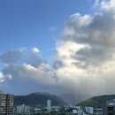 행림약국 | [Day 4] 정신 차려..🚨💸 이 각박한 호와이 세상 쏙에서!!!