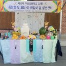 주상초등학교 이미지