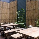 호텔벤 | 싱가포르 호텔 벤 쿨렌앳홍콩 스트리트 후기