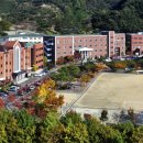 대신대학교 Daum카페