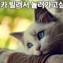 티오피렌트카 이미지