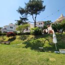 콩스빌리지 | 강화도애견펜션 로만티카 애견리조트 방문후기