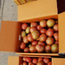 김해농장2 이미지