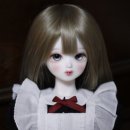 샛별플라워 이미지