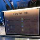 여수달구나