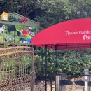 스테이 밭 이미지