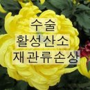 &lt;4월 28일 에서 5월 4일 &gt; 카카오 스토리 연재내용 이미지