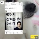 MW GYM | 운동/스포펠리스/pt/대전/둔산동/mwgym/다이어트는진행중/화이또