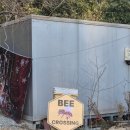 허니웍스 | 포항 연일 허니웍스 숲속 카페 후기