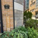 모스트데이즈