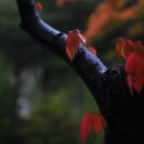 소향공원 이미지