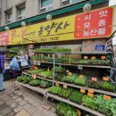 봄농약사 이미지