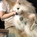 그 남자의 주방 이미지
