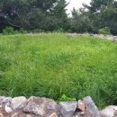 능포주차장 이미지