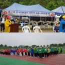 2018연 Daum카페