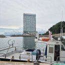 인어 | 이강인 다녀간 고등어회맛집 외옹치항 회센터 인어횟집 솔직후기