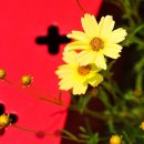 오렌지파크 - 단양군 평동로 88 | 오렌지파크