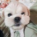 핫 썸머 아니고 주르륵 썸머