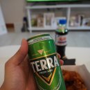 축구보는닭 이미지