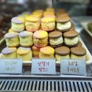 솜솜아이스 이미지