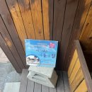 메가안경콘텍트 이미지