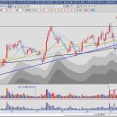 조선바이오메카닉스 이미지