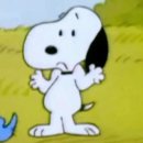 피자스쿨 감삼점 | 시차적응 대실패 강제 미라클 모닝중